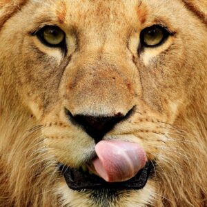 Anatomy of Power IV: When Power Ceases to Serve and Begins to Govern Itself