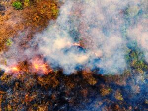 The Most Shocking Climate News of 2026